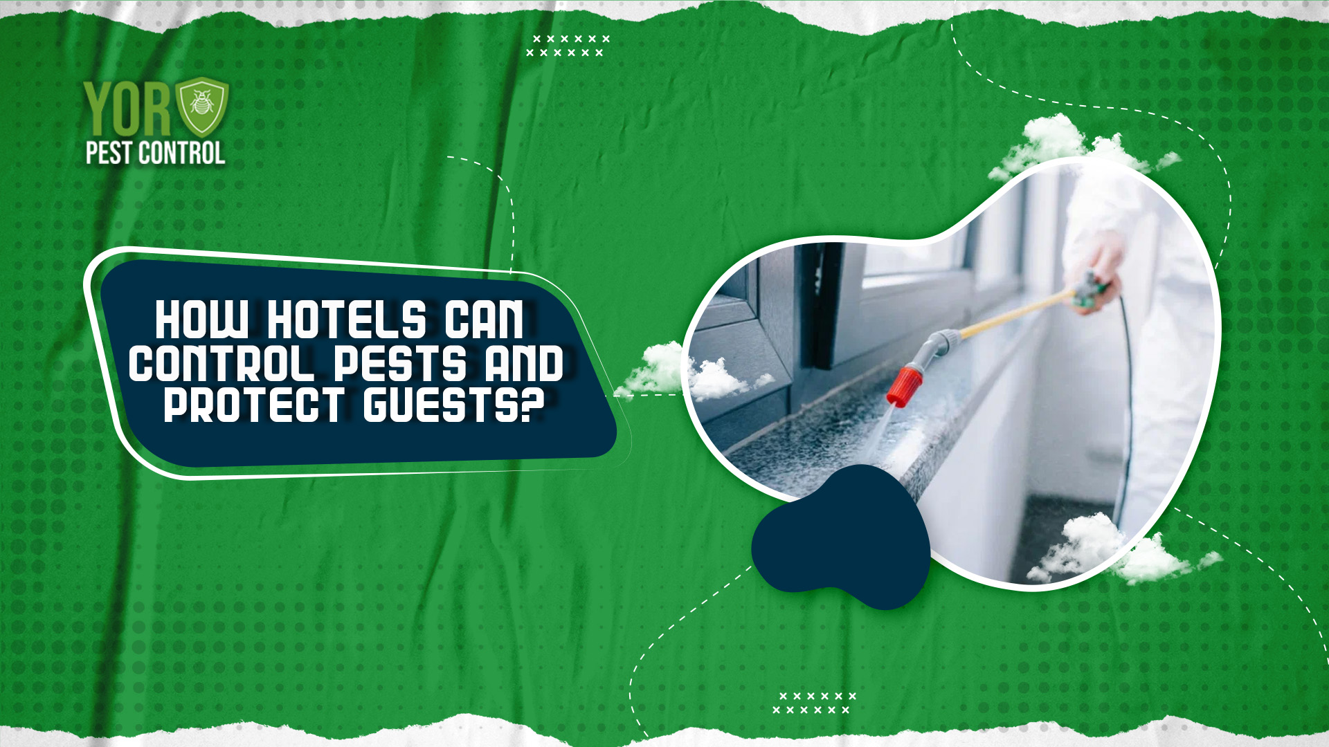 How Hotels Can Control Pests and Protect Guests?