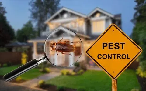 Difference Between Domestic and Commercial Pest Control Services