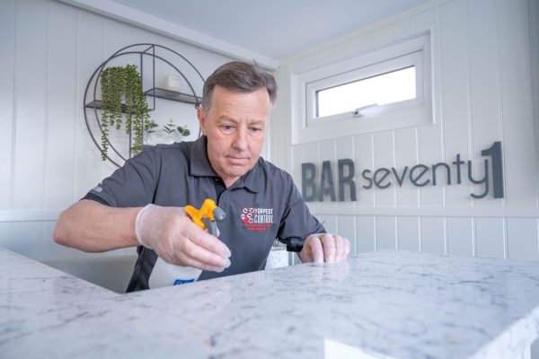 ant removal in york