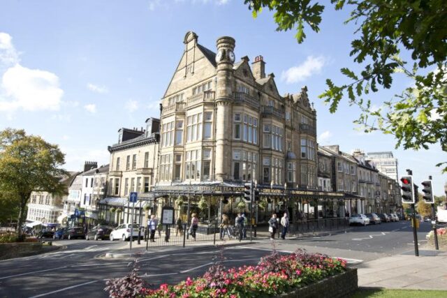 Pest control in the Harrogate area