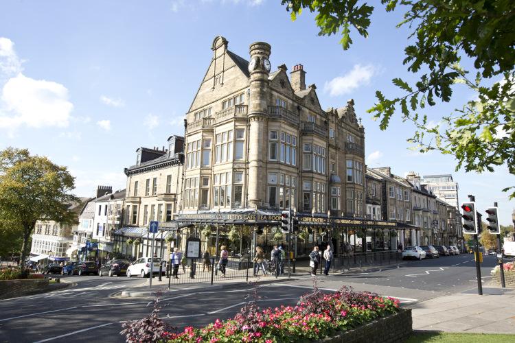 Pest control in the Harrogate area