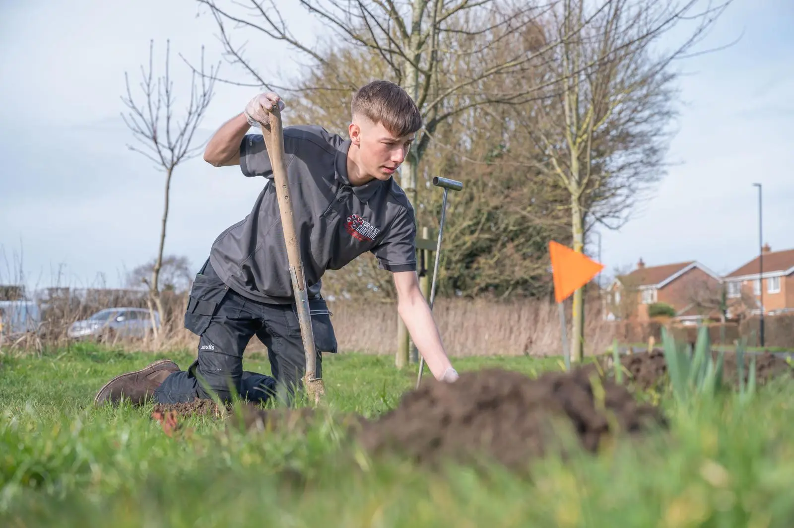 Pest Control York: Complete Guide to Local Pest Problems 5 Professional mole control treatment in York Harrogate garden showing mole trapping and lawn damage repair work