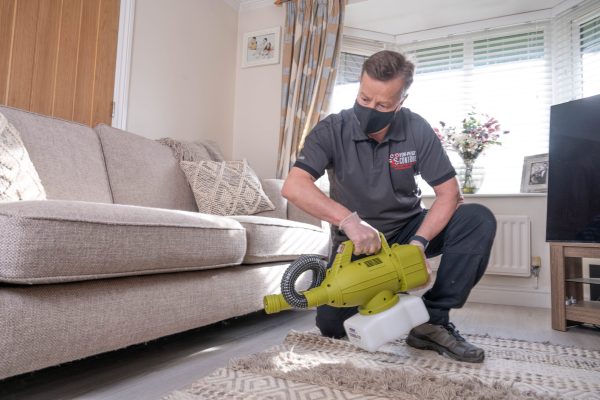 moth extermination