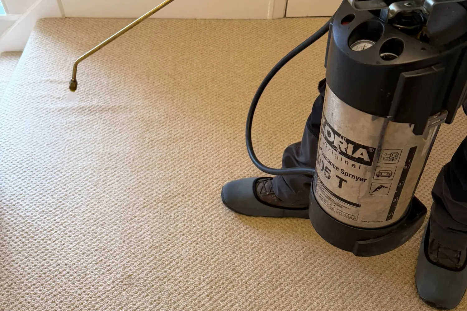 Moth Treatment Harrogate: Complete Eradication | Yor-Pest 3 Professional moth treatment application to bedroom carpet in Westbourne Avenue Harrogate showing specialist spray equipment