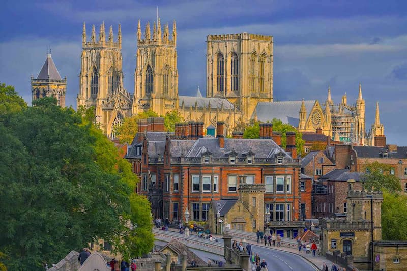 pest control in york