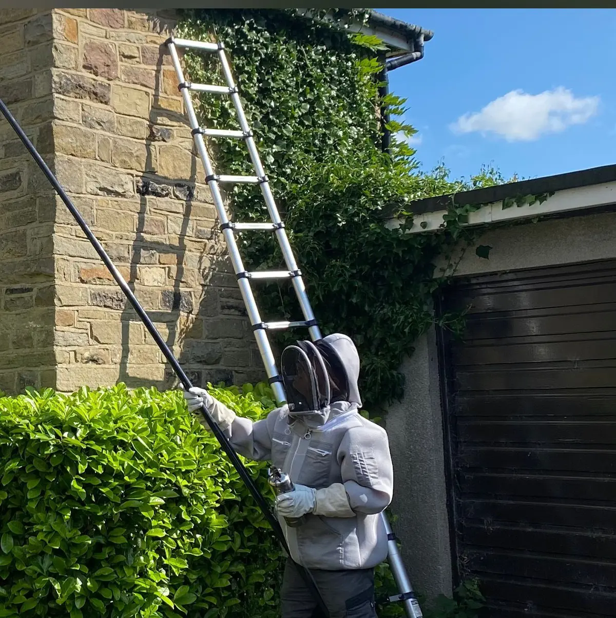 Harrogate Garden Wasp Nests: Hidden Dangers in Large Gardens 3 Professional wasp nest treatment Harrogate technician using extension lance and full protective equipment for safe removal