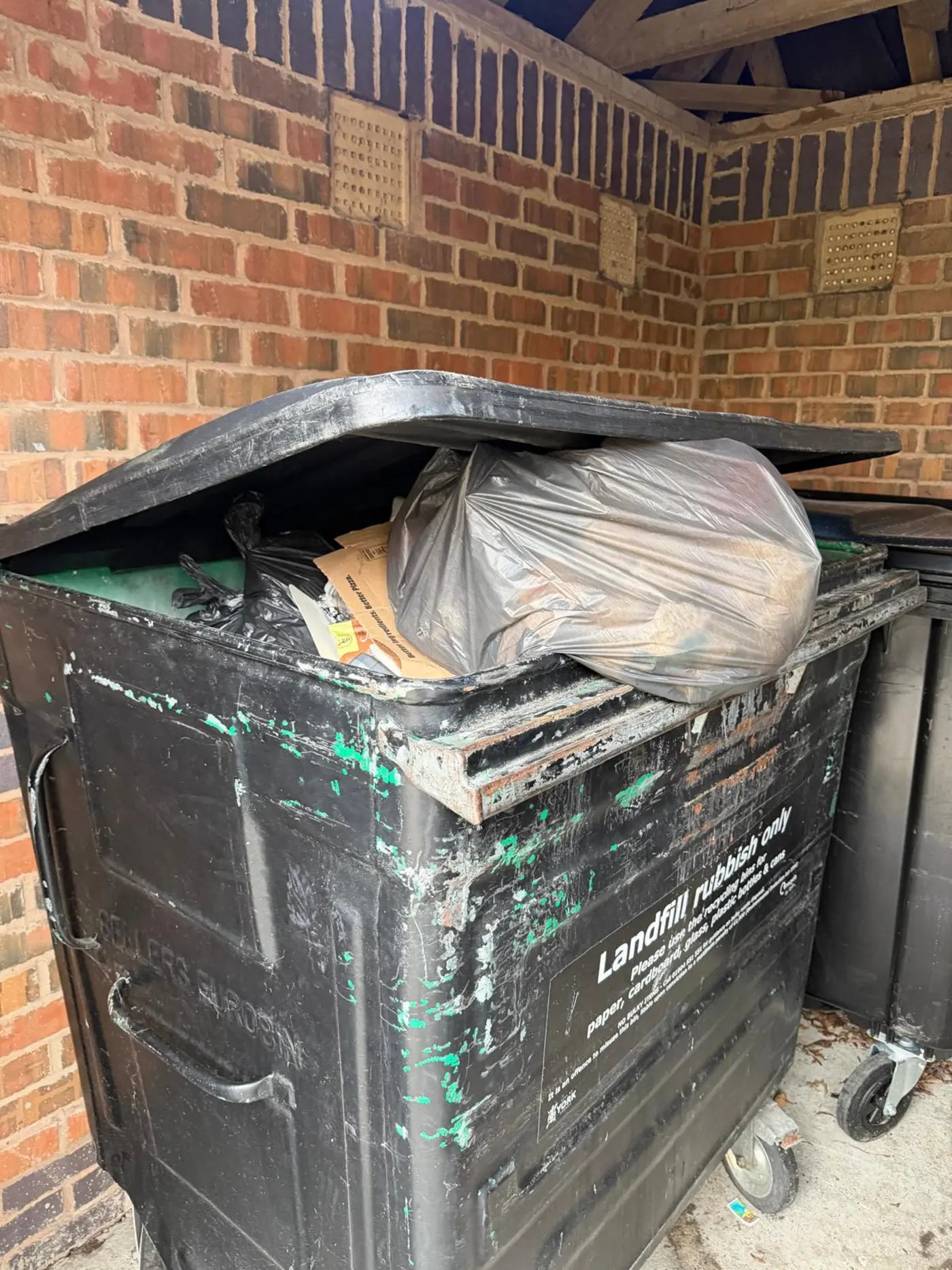 Rats in Harrogate Victorian Property: Why Period Homes Differ 1 Overflowing waste bins against Victorian brick wall in Harrogate attracting rats to property