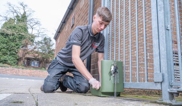 Catching rats and removing them from your home