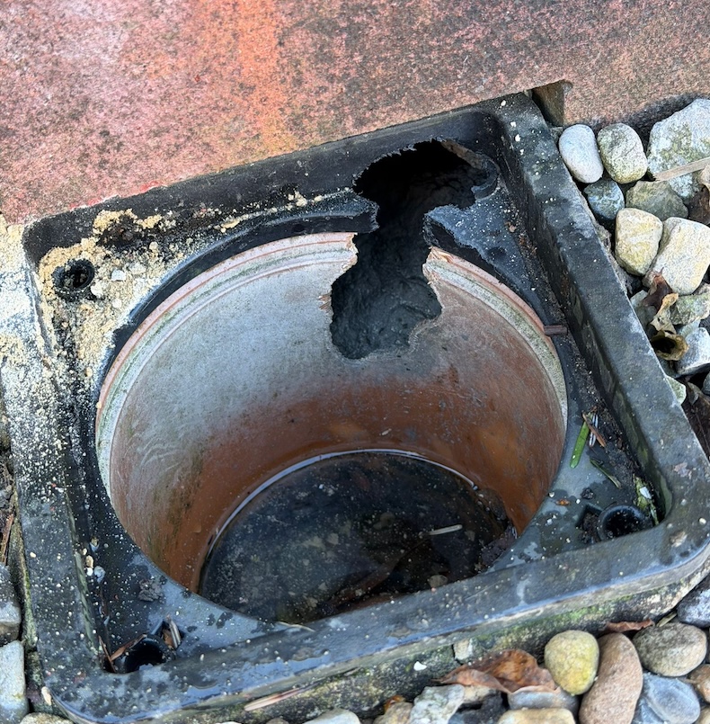 Rats in Harrogate Victorian Property: Why Period Homes Differ 4 rat damage to drain in harrogate