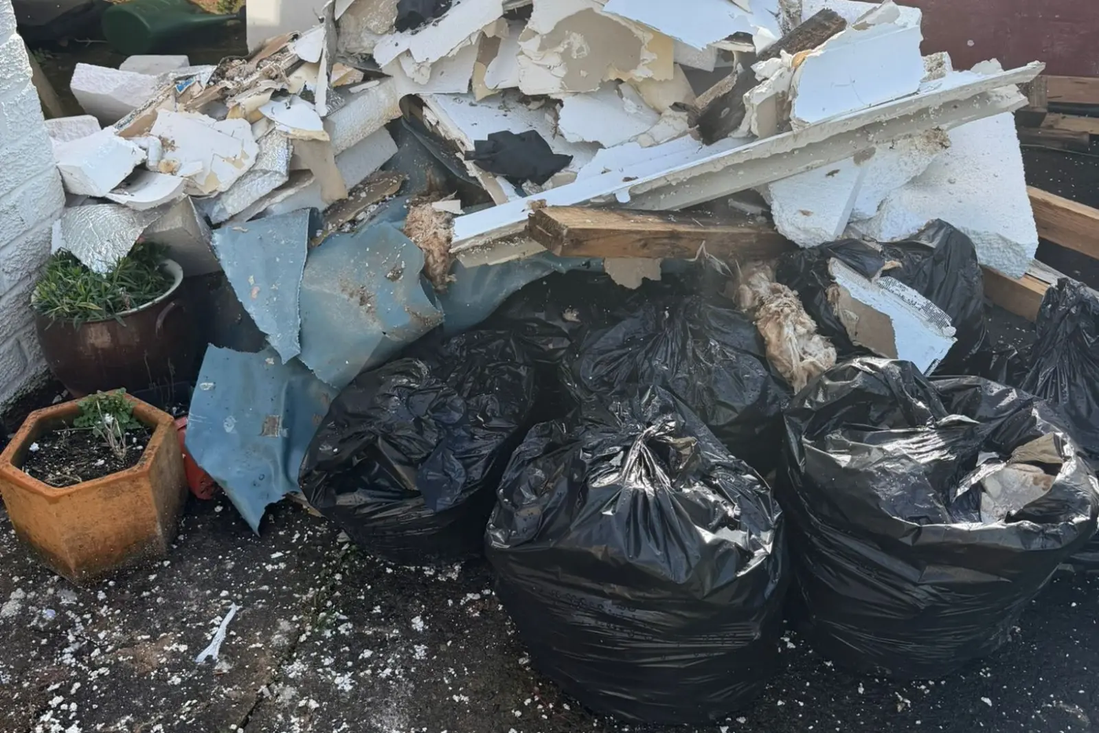 Tang Hall Rat Infestation York: When Builder Errors Cost Thousands 4 Extensive wall and ceiling removal required for Tang Hall York rat infestation remediation showing scale of builder-caused damage
