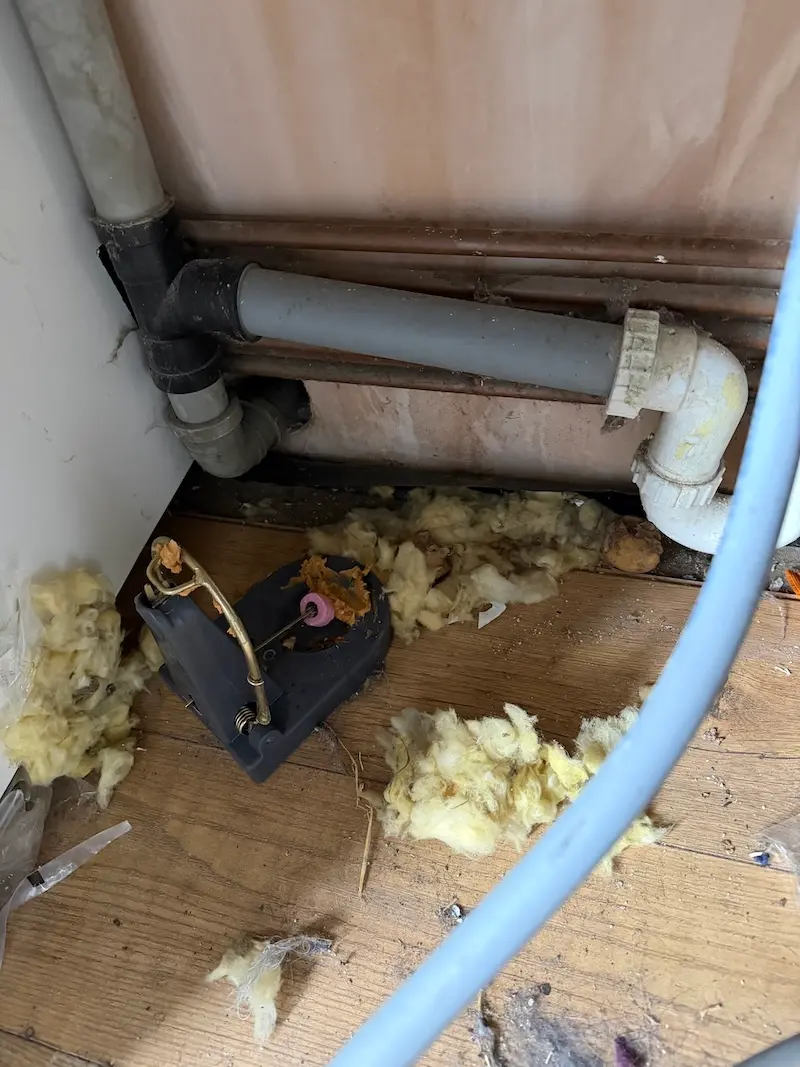 Signs You Need Pest Control in York: Don't Ignore These Warnings 1 rat traps set within the York kitchen