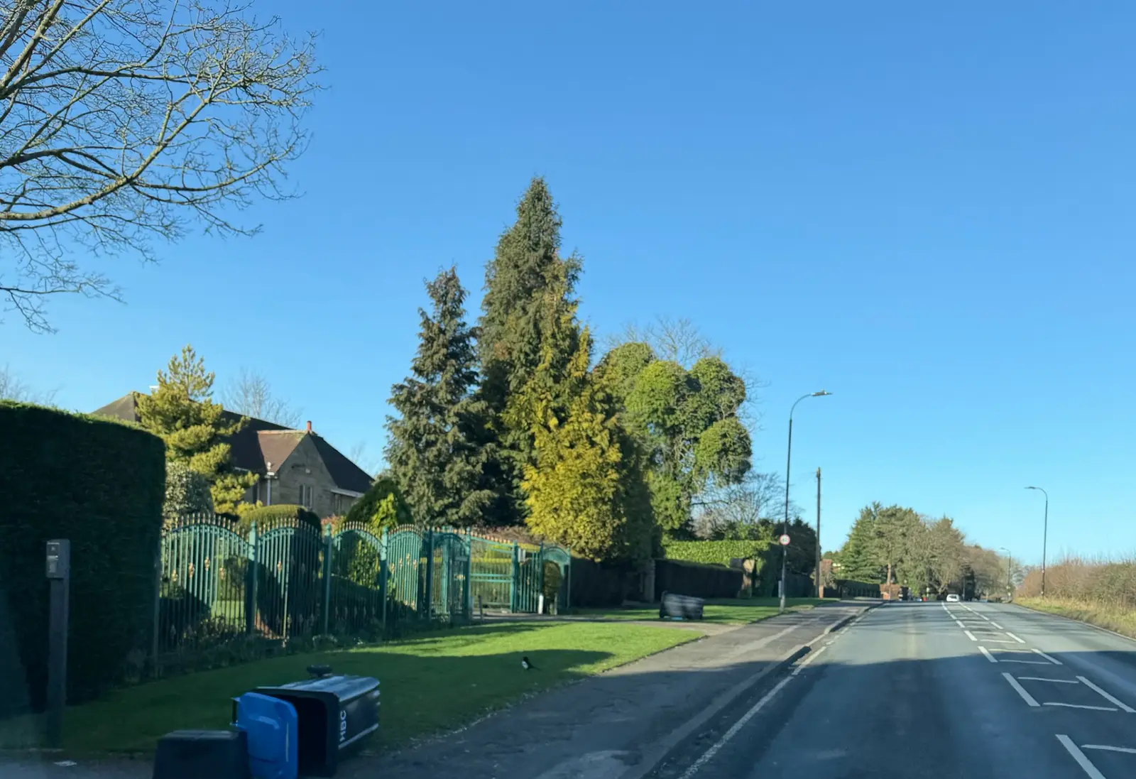 Ripley Road in Scotton near Knaresborough showing wooded residential area with mature trees where grey squirrel infestation occurred