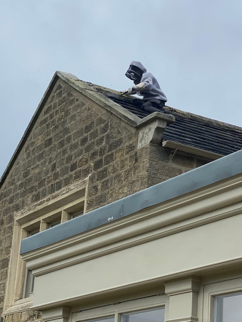 wasp nest removal 03