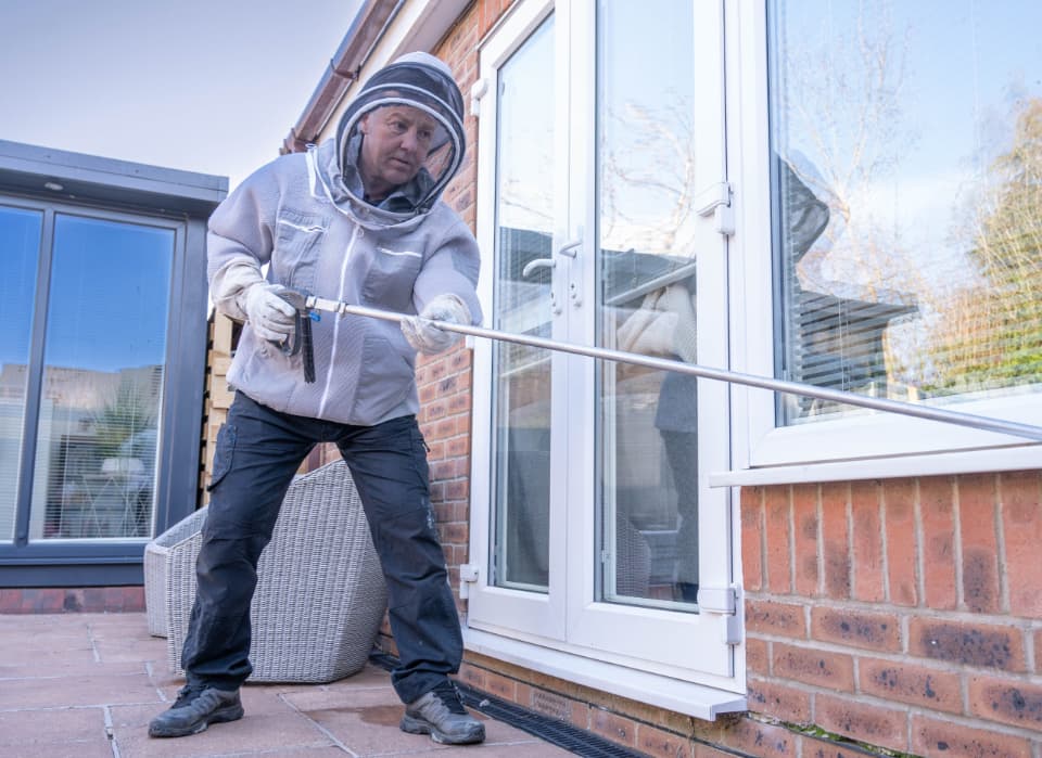 wasp nest removal Pest Control Harrogate, York Selby and Knaresborough